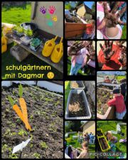 26Schulgarten